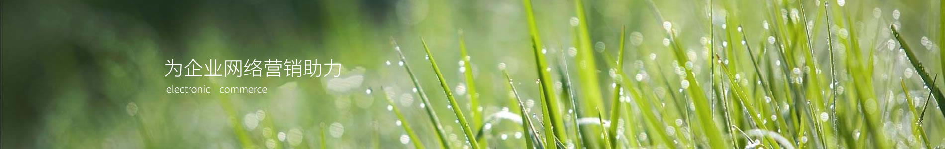 ݿƱ޹˾